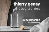 Thierry-Genay